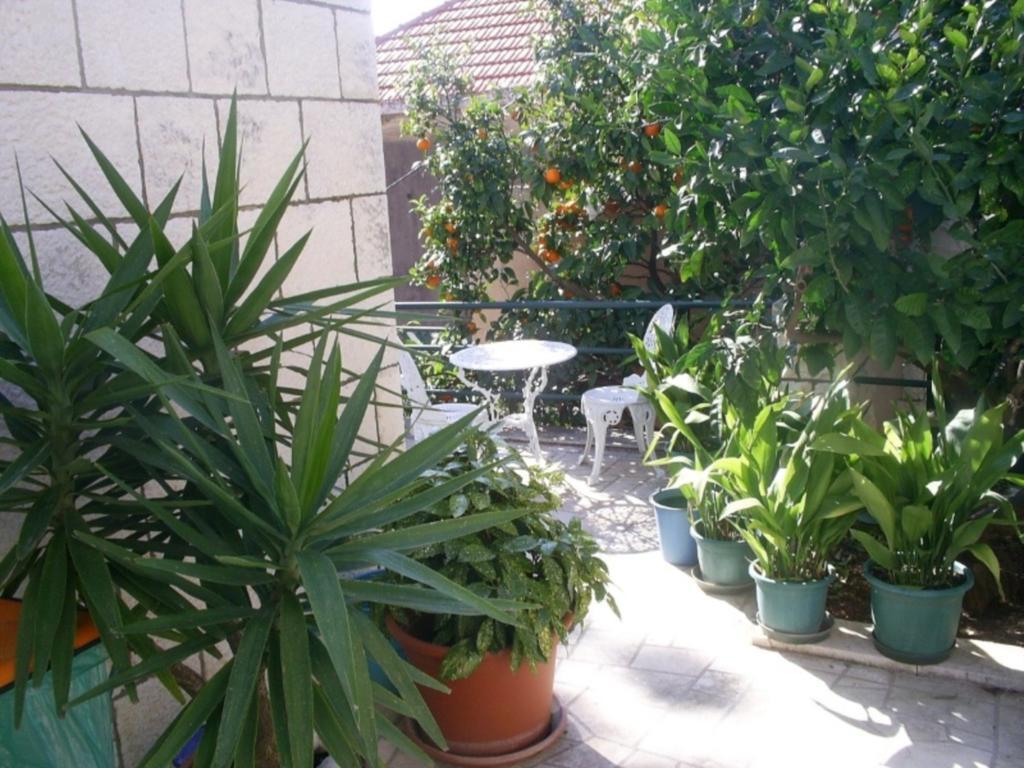 Dubrovnik Sea View Apartment Ngoại thất bức ảnh