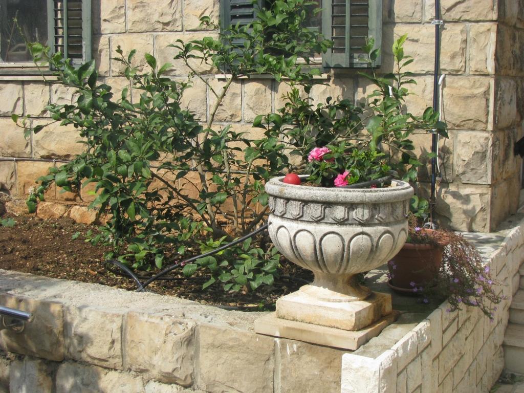 Dubrovnik Sea View Apartment Ngoại thất bức ảnh